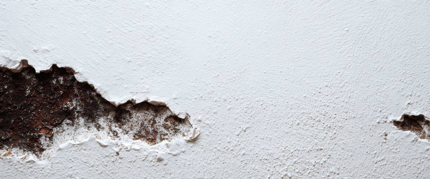 Repair Scope and Cost Damaged wall with exposed material requiring repair